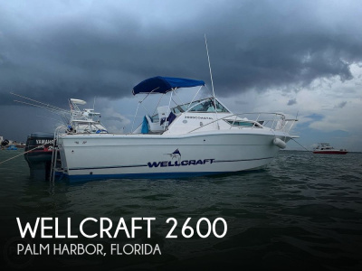 1995 Wellcraft 2600 Coastal