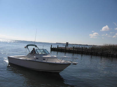 1995 Pursuit 2560 Walkaround
