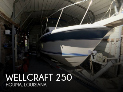 1990 Wellcraft 250 Sportsman