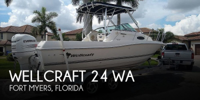 2002 Wellcraft 24 WA