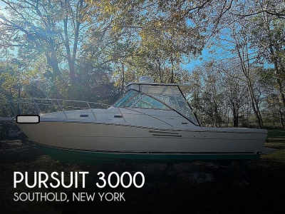 2002 Pursuit 3000 Express