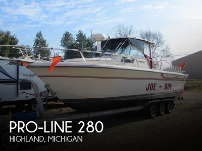 1990 Pro Line Walkaround 280