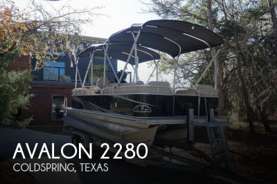 2019 Avalon Venture 2280 QL