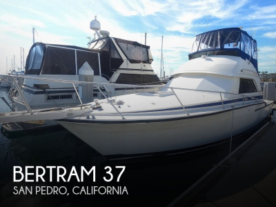 1987 Bertram Convertible 37