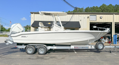 2023 Boston Whaler 250 Dauntless