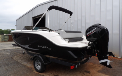 2024 Bayliner ELEMENT 19