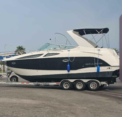 2009 Bayliner 300