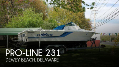 1994 Pro Line 231