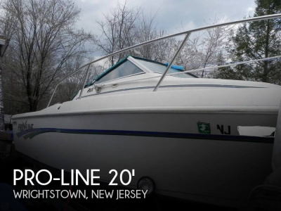 1997 Pro Line 201 Walkaround