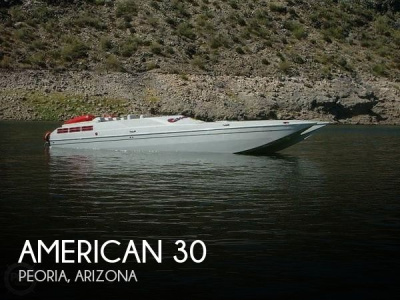 2004 American Offshore 3100