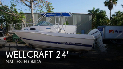 1995 Wellcraft Excel 23 Fish