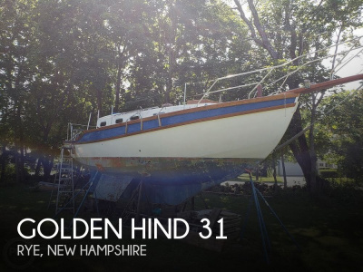 1977 Golden Hind 31
