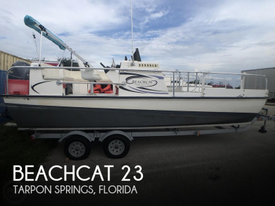 2014 Beachcat 23 Saltwater