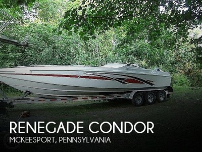 2000 Renegade Condor