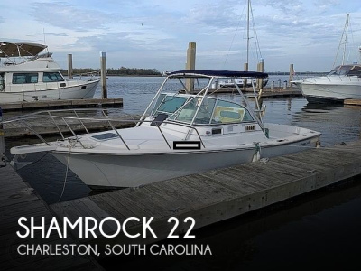 1989 Shamrock 22 Predator