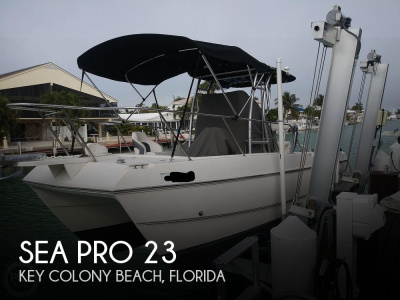 2002 Sea Pro Sportcraft SCC 235