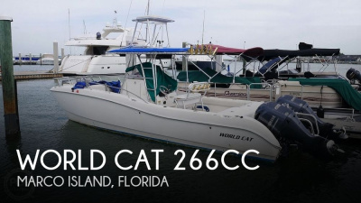2001 World Cat 266CC