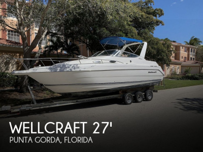 2001 Wellcraft 2600 Martinique