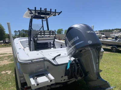 2020 Blue Wave 2800 Pure Hybrid