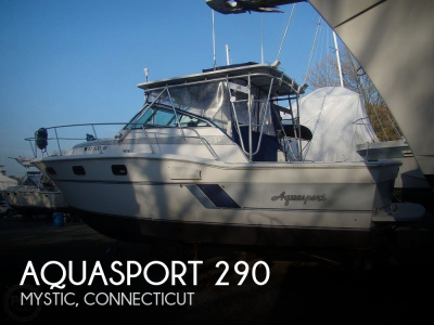 1989 Aquasport 290 XF