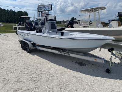 2021 Blue Wave 2300 Purebay