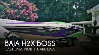 1999 Baja H2X Boss