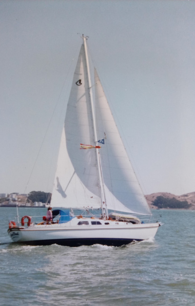 1986 Custom Built Cavalier 39