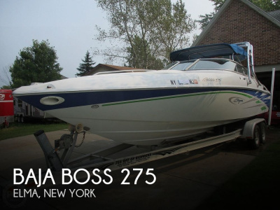 2006 Baja Boss 275