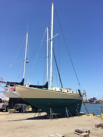 2010 Custom Built Juna 37