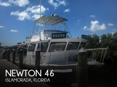 2006 Newton 46